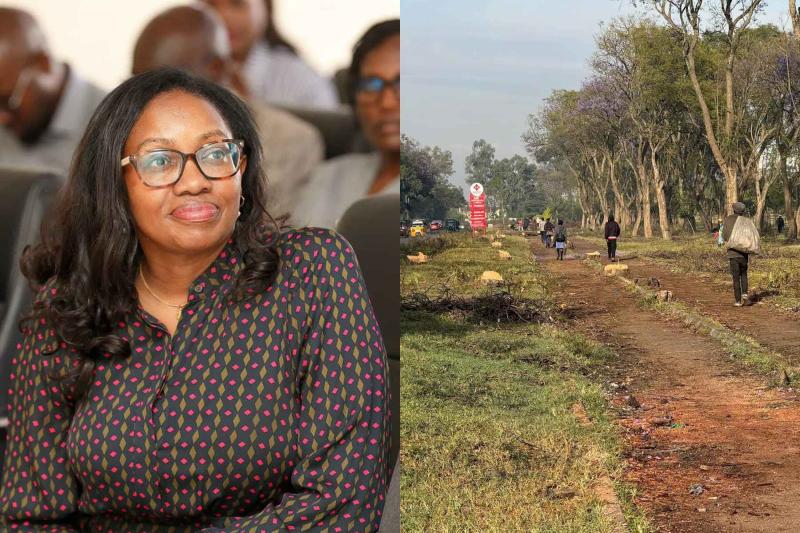 Photocollage of Governor Susan Kihika and trees felled in Nakuru.